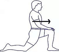 hip flex